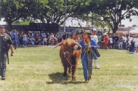 1998-sacramento-ca-010